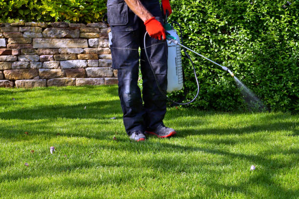 Lawn Pest Control